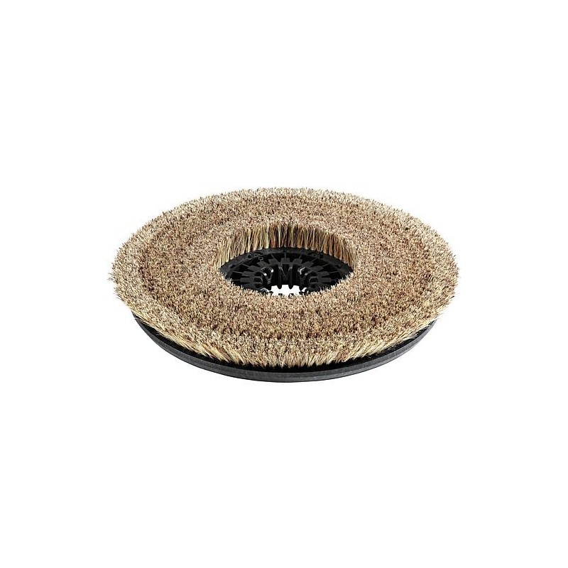 Brosse disque complète naturel D43