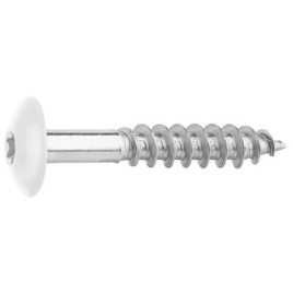 Vis pour panneaux stratifiés A4, 5,5 x 35, RAL 9010 blanc pur, UE : 100