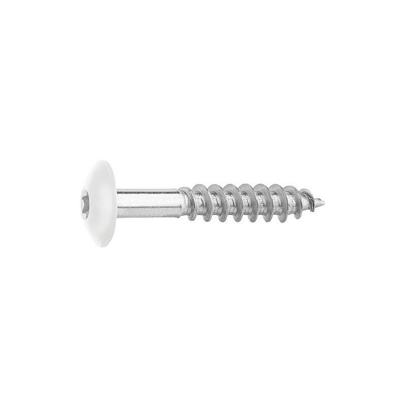 Vis pour panneaux stratifiés A4, 5,5 x 35, RAL 9010 blanc pur, UE : 100