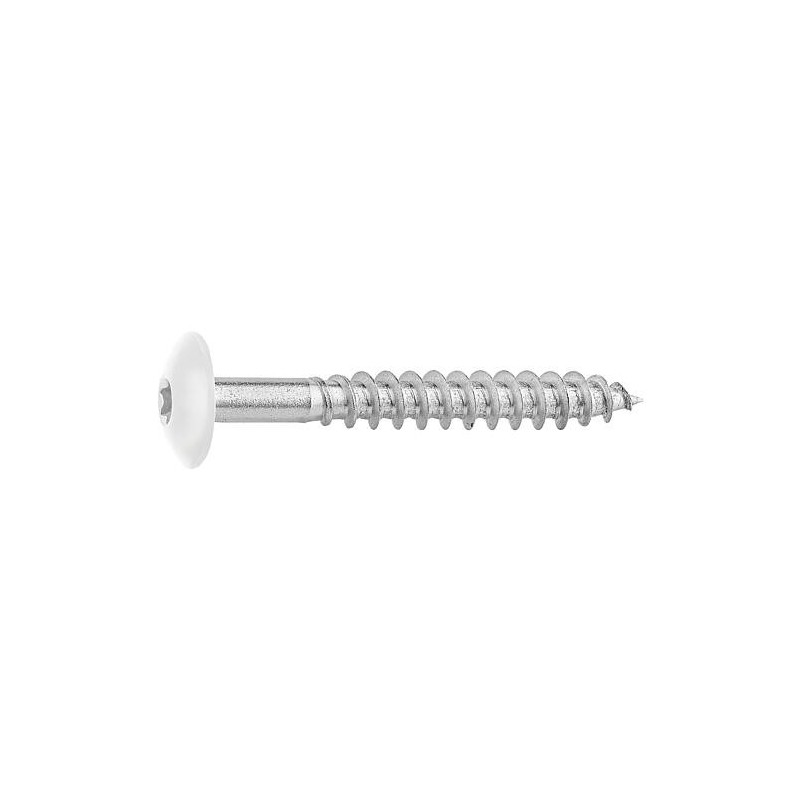 Vis pour panneaux stratifiés A4, 5,5 x 45, RAL 9010 blanc pur, UE : 100