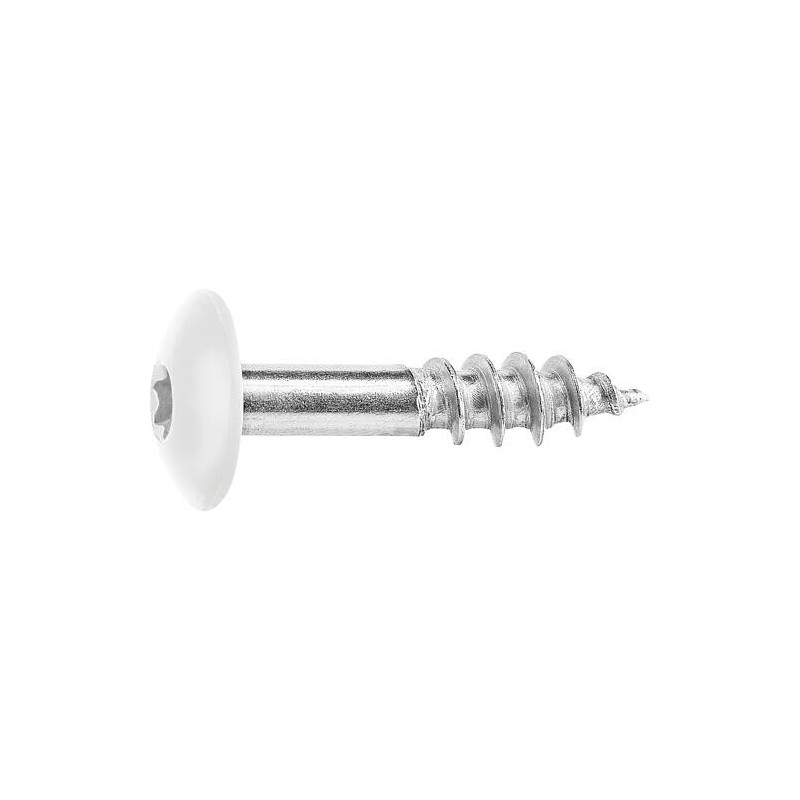 Vis pour panneaux stratifiés A4, 5,5 x 25, RAL 9010 blanc pur, UE : 100