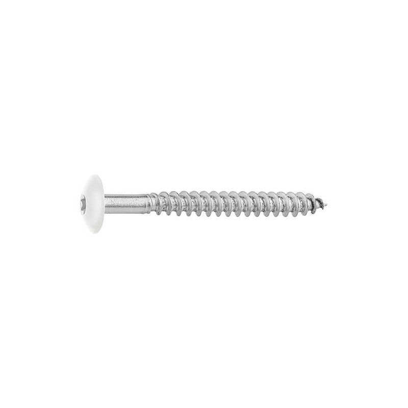 Vis pour panneaux stratifiés A4, 5,5 x 55, RAL 9010 blanc pur, UE : 100