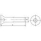 Vis à tête fraisée à six pans creux et VG ISO 10642 A4 M 2X5 conditionnement : 1000