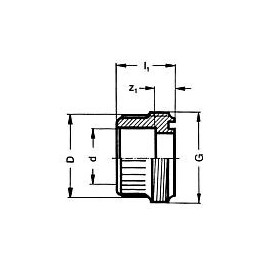 PVC-U - Raccord adhesif Piece a visser avec manchon adhesif 16 mm