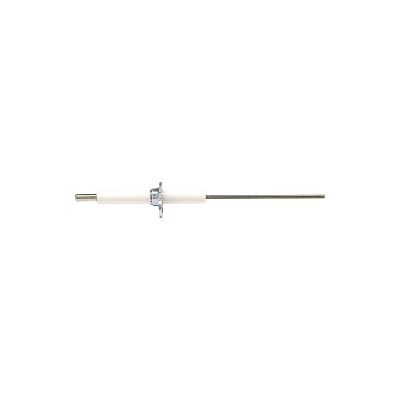 Electrode de controle pour Wolf NG2E 89 02 571