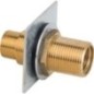 Rallonge mur creux 3/4" x 1/2" x 130 mm Laiton