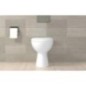 Fixation pour WC et sanitaires S 8 RD 60 WCR